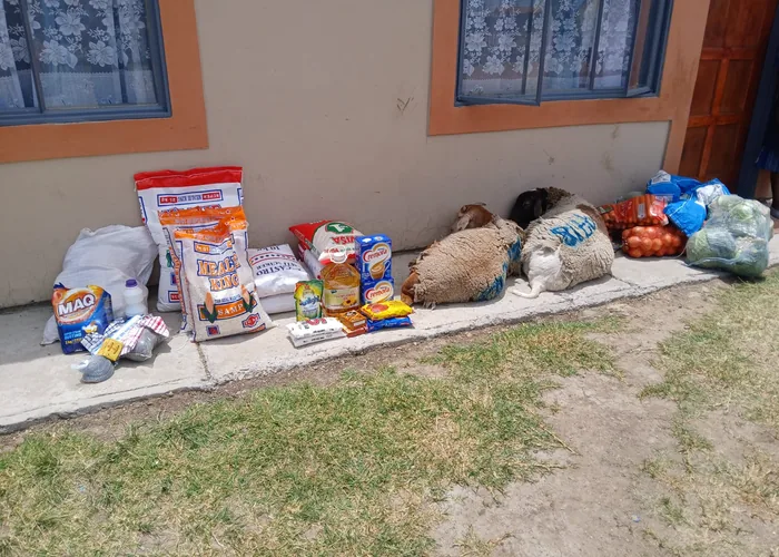 A grocery package with livestock supplied to a family